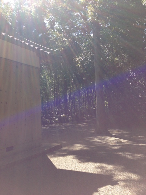 和歌山_光の神社